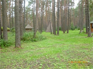 P1050325.JPG